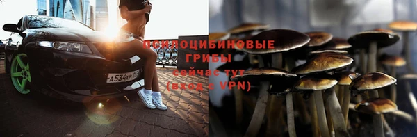 МДПВ Краснотурьинск