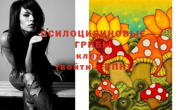 марки lsd Краснослободск