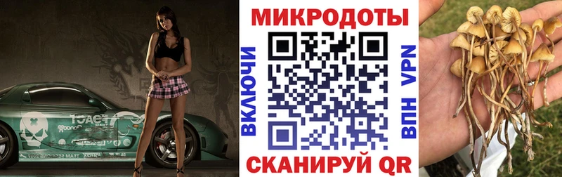 Купить  Петухово  Псилоцибиновые грибы Cubensis 